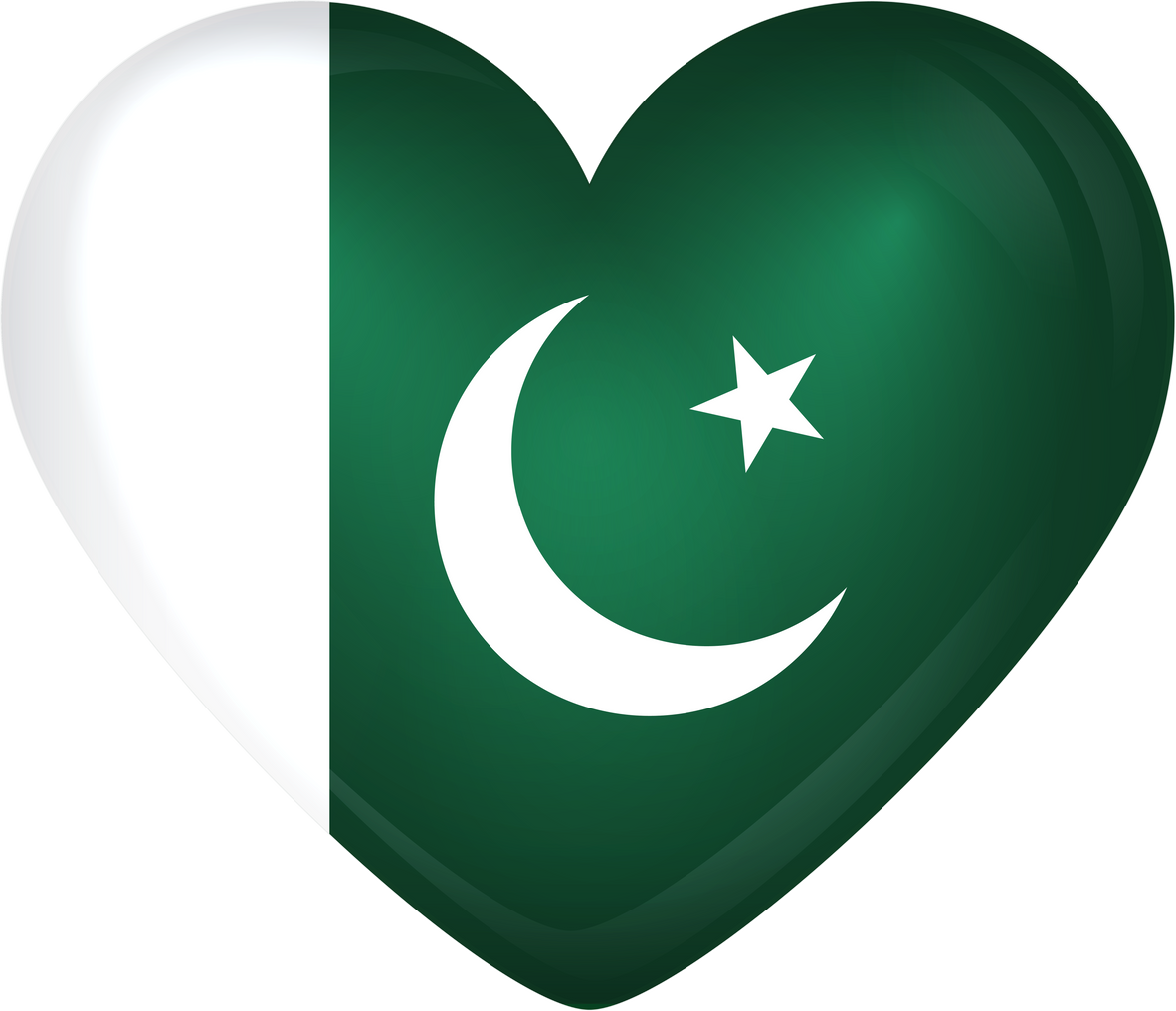 Pakistan Heart Flag